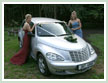 Brides with the wedding car